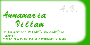 annamaria villam business card